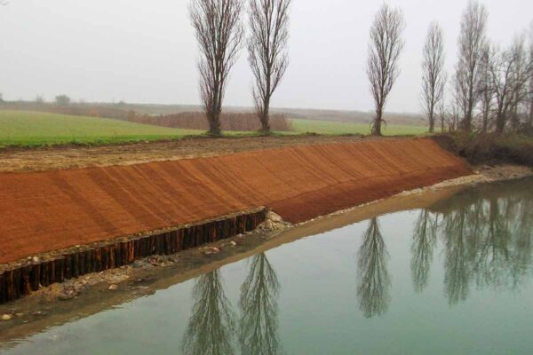 Consolidamento argini Riviera del Brenta